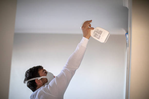 Best Residential Mold Removal  in American Falls, ID