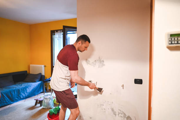 Best Mold Cleaning Services  in American Falls, ID